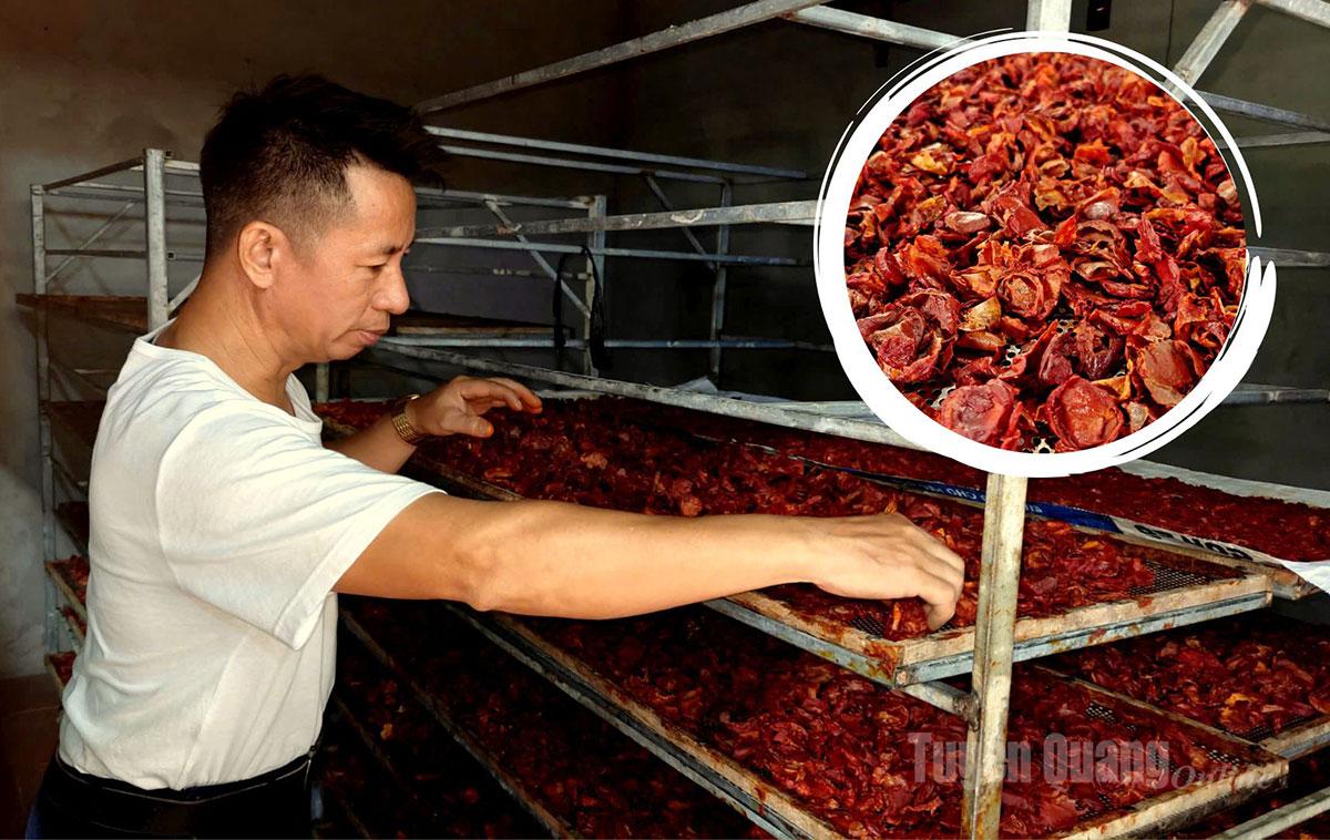 Once the seeds and arils are separated, they are placed in thermal dryers for dehydration.