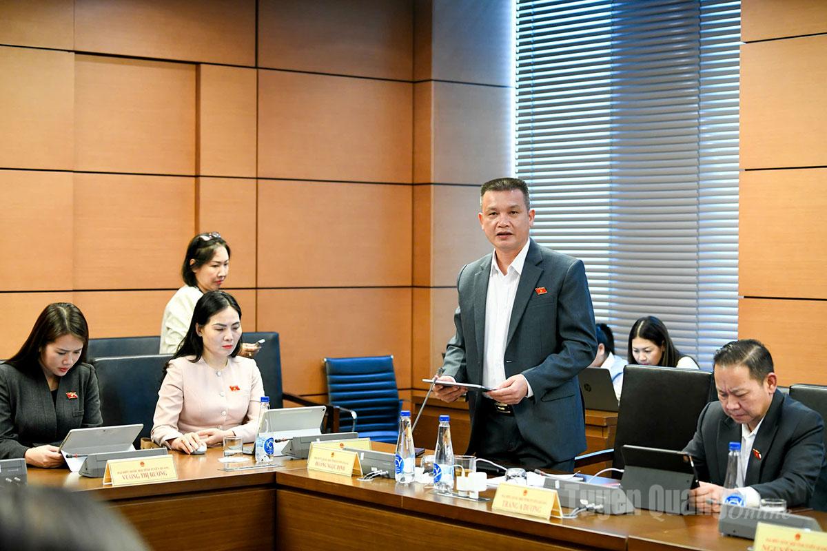 Đại biểu Hoàng Ngọc Định phát biểu thảo luận.