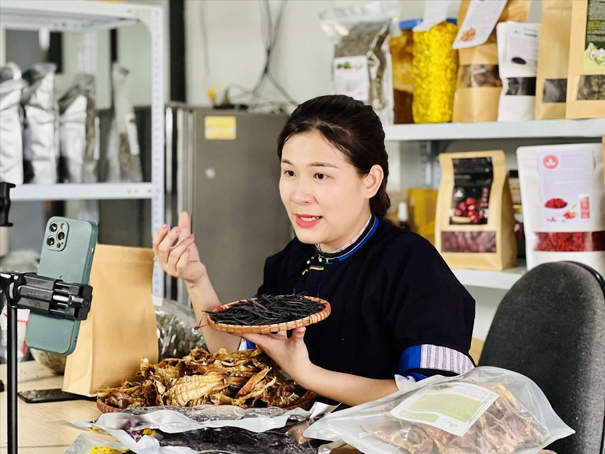 Cô sơn nữ Nông Cẩm Quỳnh bỏ phố về bản, làm Tiktok quảng bá sản vật quê hương.
