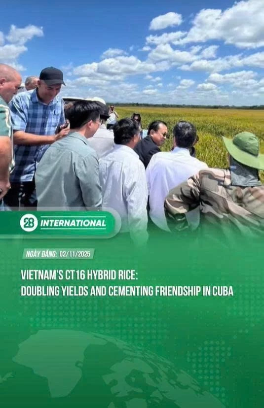 Kênh luôn cập nhật tin tức, sự kiện, những hình ảnh đẹp của đất nước – nơi mỗi thước phim, mỗi câu chuyện đều chứa đựng niềm tự hào và tình yêu quê hương, góp phần lan tỏa hình ảnh một Việt Nam năng động, thân thiện đến với bạn bè quốc tế.