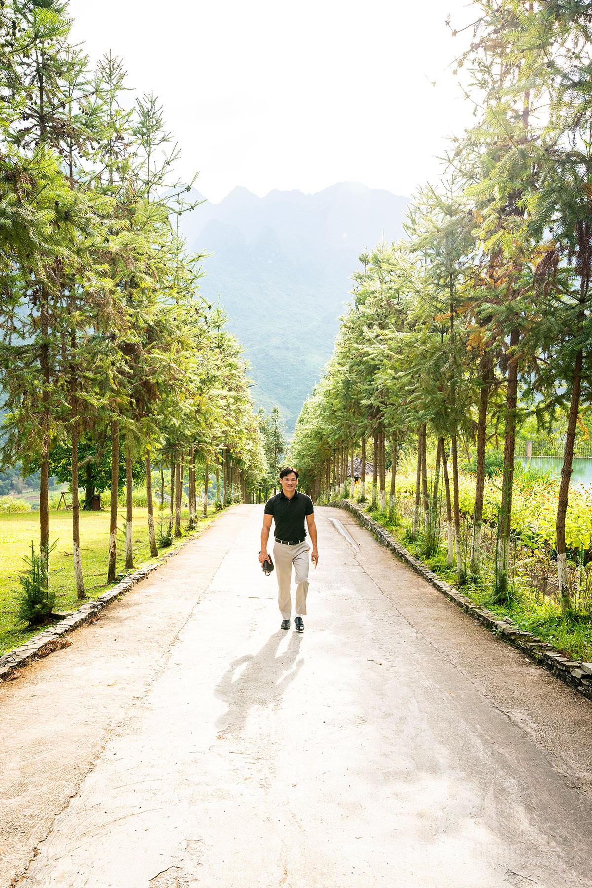 A pathway lined with lush Sa Moc trees - the iconic species of the Rocky Plateau.