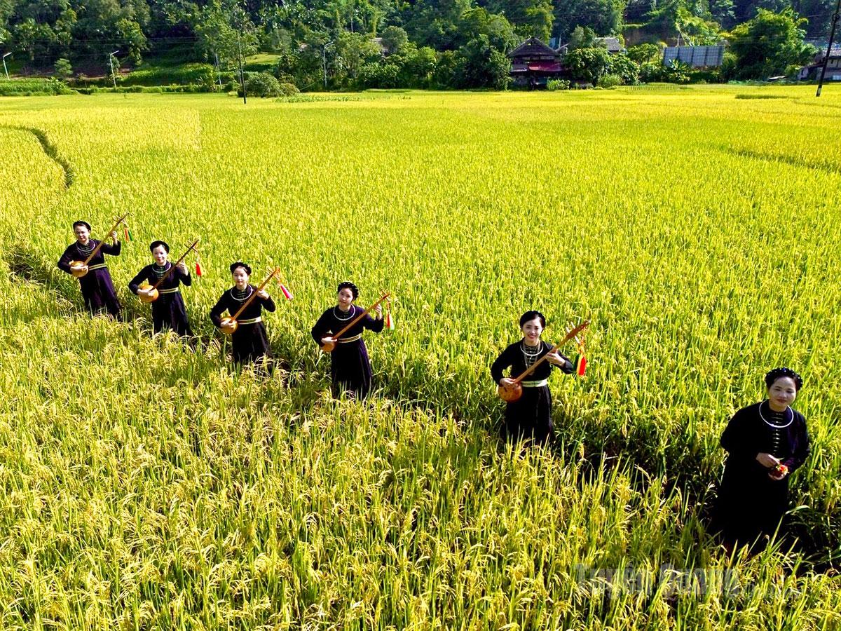 Then singing and the Tinh lute harmonize beautifully with the rustic village scenery.