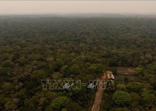 The Amazon rainforest in Brazil. (Photo: Xinhua/VNA)