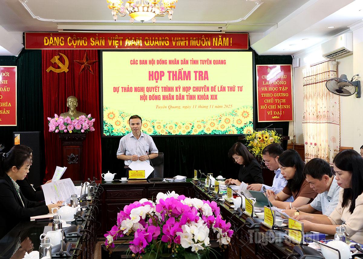 Ban Kinh tế - Ngân sách HĐND tỉnh thẩm tra dự thảo nghị quyết.