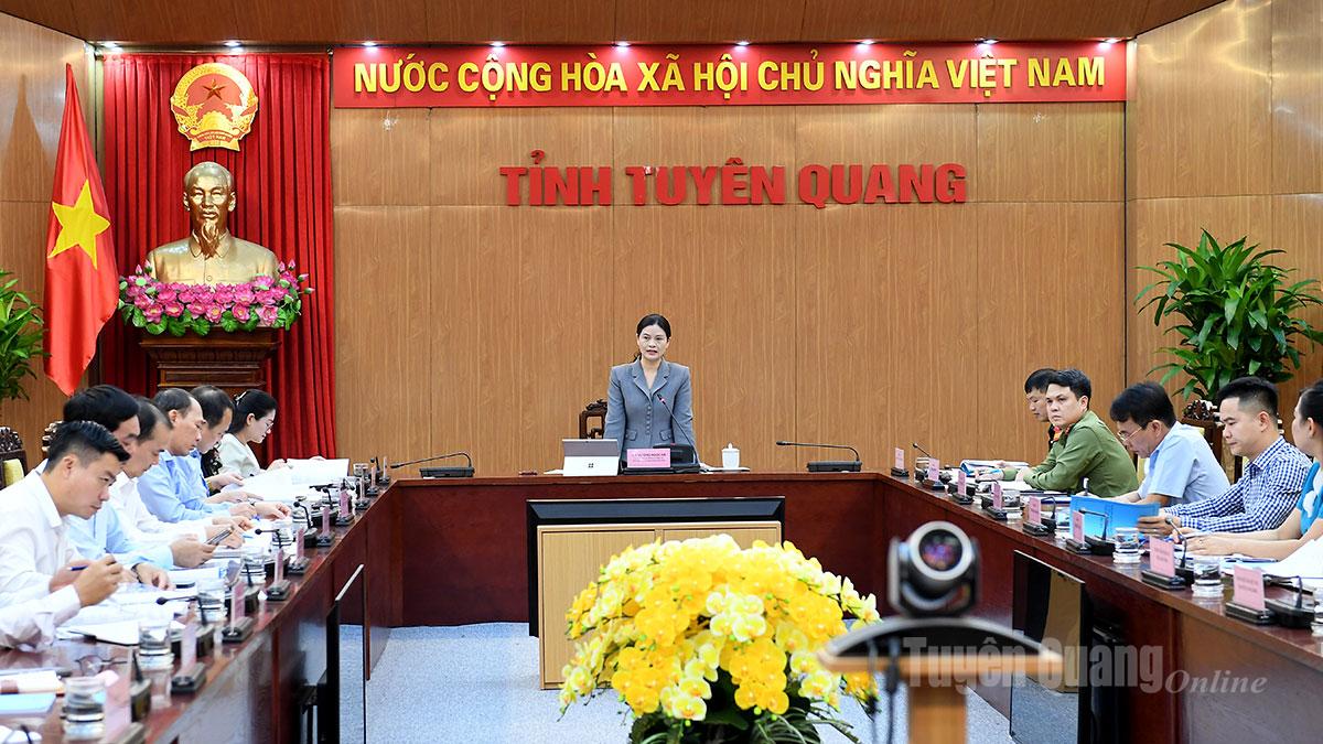 Đồng chí Phó Chủ tịch UBND tỉnh Vương Ngọc Hà chủ trì buổi làm việc.