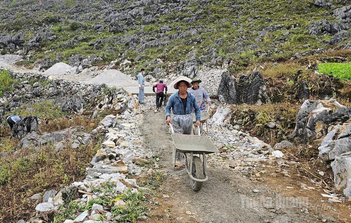 Nhân dân xã Khâu Vai góp sức làm đường bê tông.