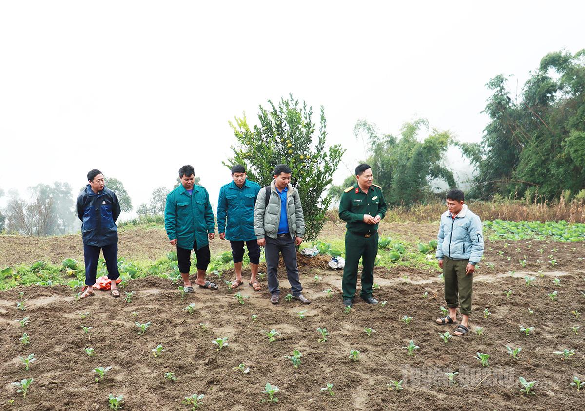 Người dân xã Thàng Tín tập trung phát triển cây vụ Đông để nâng cao thu nhập.