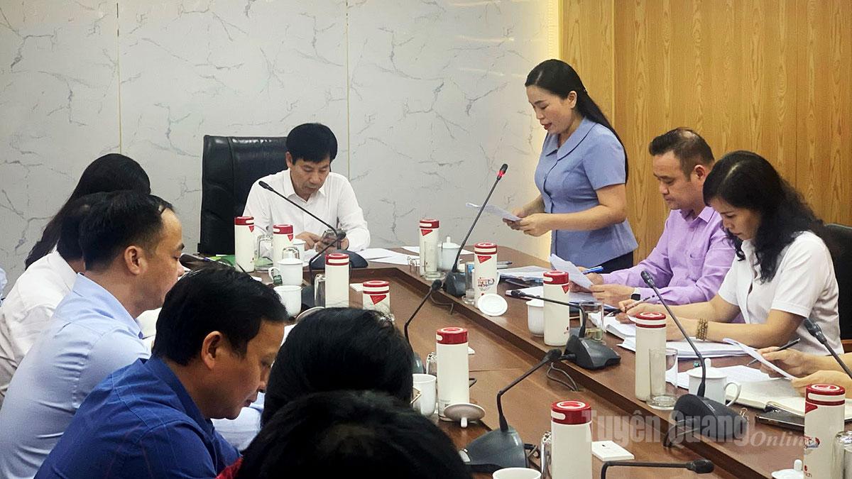 Đồng chí Chu Thị Ngọc Diệp, Chủ tịch Hội Nông dân tỉnh Tuyên Quang báo cáo công tác chuẩn bị Đại hội.