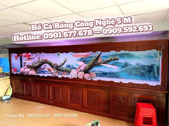 Kích thước thiết kế hồ cá rồng ảnh hưởng trực tiếp tới hành vi và sự phát triển của cá