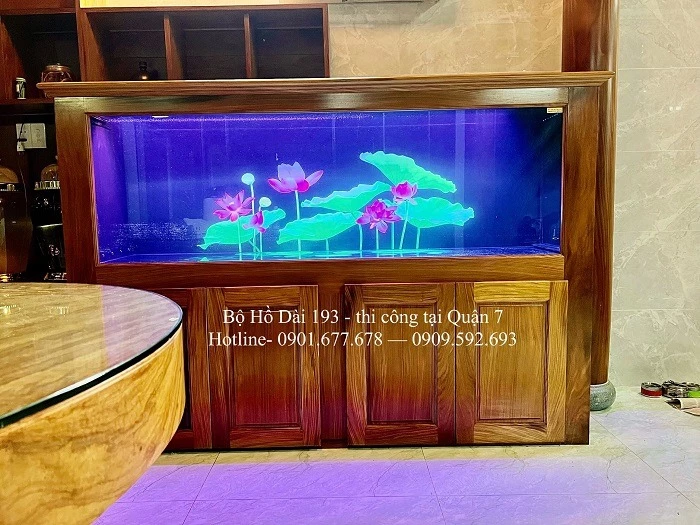 Hồ cá rồng Huyết Long nên có độ dài từ 1,8 m - 2,5 m