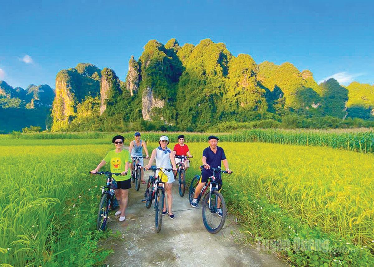 Tourists experience tourism in Na Tong village.