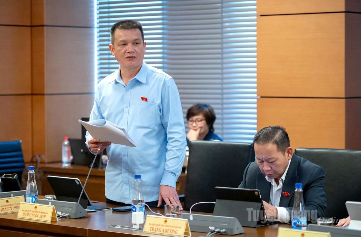 Đại biểu Hoàng Ngọc Định phát biểu thảo luận.