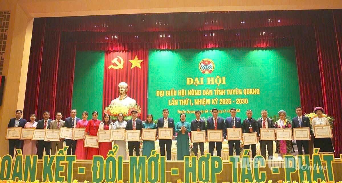 Các tập thể, cá nhân được khen thưởng tại Đại hội đại biểu Hội Nông dân tỉnh lần thứ I.