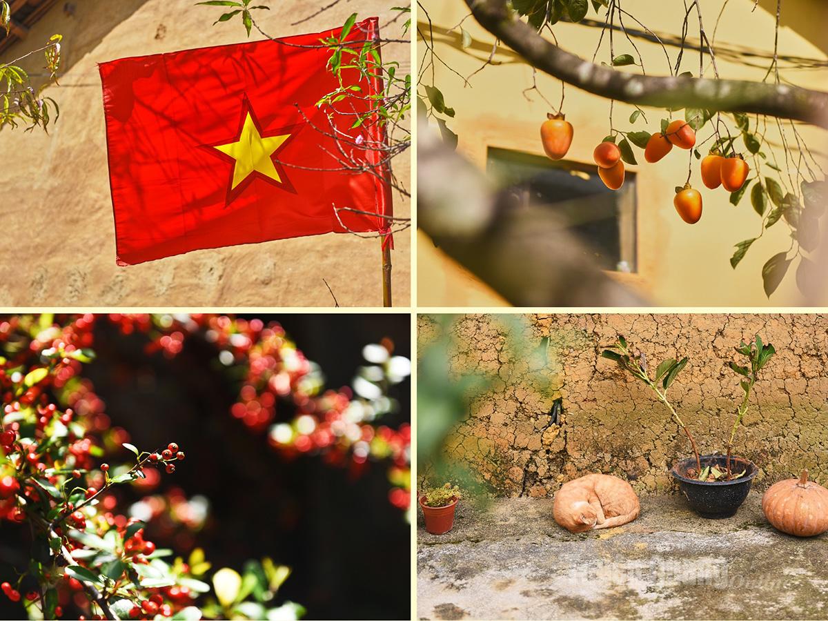 This November, many homestays were fully booked early, reflecting the strong appeal of the “early peach blossom season” and the value of the international recognition. Lo Lo Chai is entering a period of strong tourism growth, which also requires villagers and accommodation facilities to adapt.