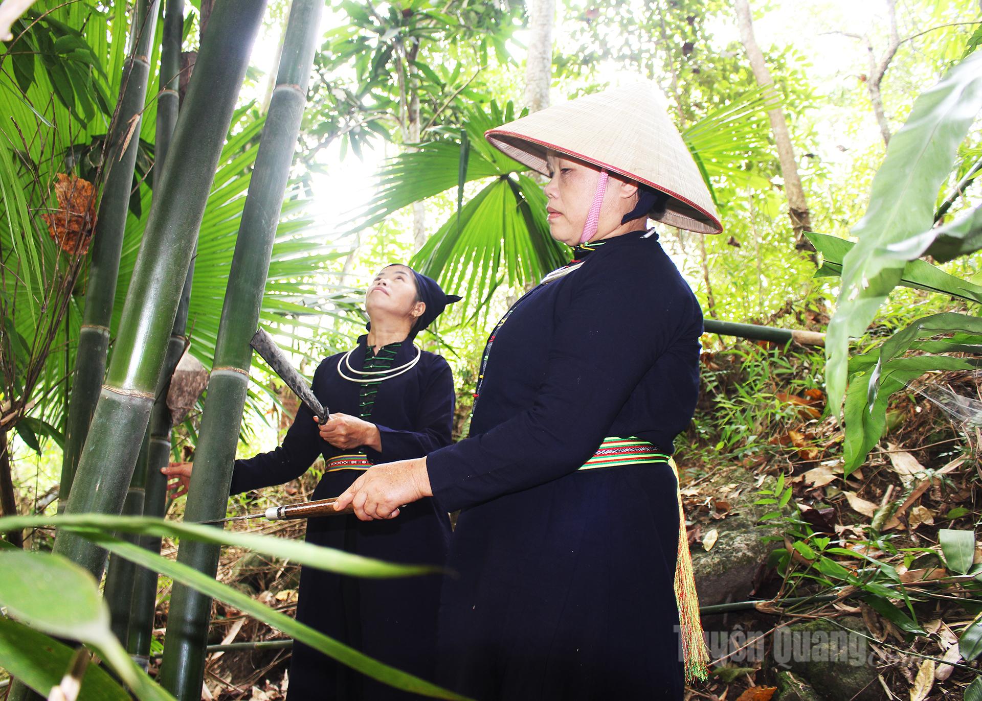 Following the hillsides, Tay women quietly search for materials for weaving. Bamboo and neohouzeaua are selected with great care: the plants must be straight, neither too old nor too young; ideally, the “banh te” type of bamboo is chosen to ensure the finished products resist termites.