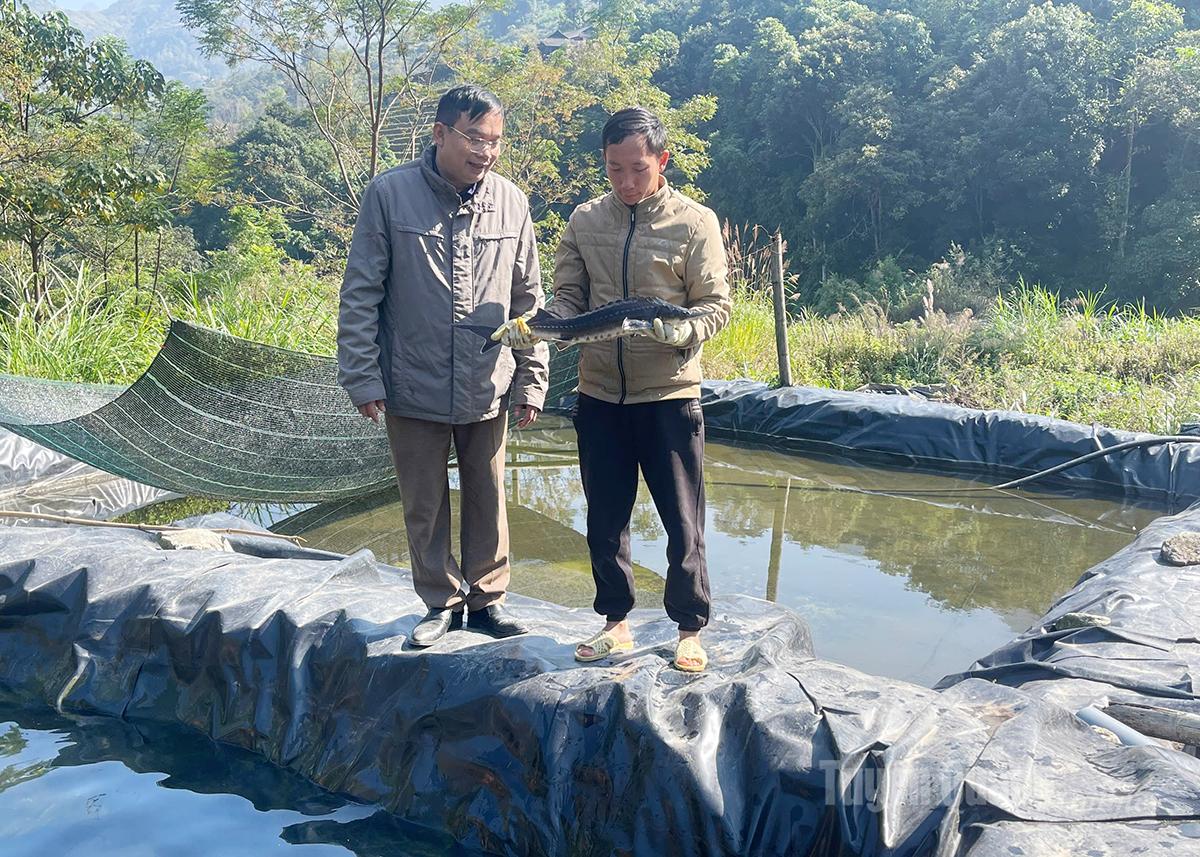 Nuôi cá nước lạnh mang lại thu nhập ổn định cho người dân xã Nấm Dẩn.