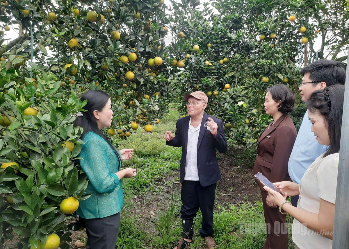 Hội Nông dân tỉnh tăng cường phối hợp cung ứng phân bón nông nghiệp theo hình thức trả chậm, giúp người dân giảm thiểu gánh nặng vốn.