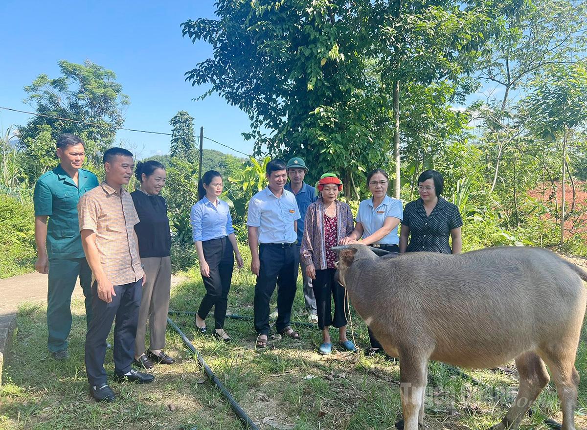 Xã Việt Lâm trao trâu sinh sản cho hộ nghèo để nâng cao tiêu chí thu nhập.