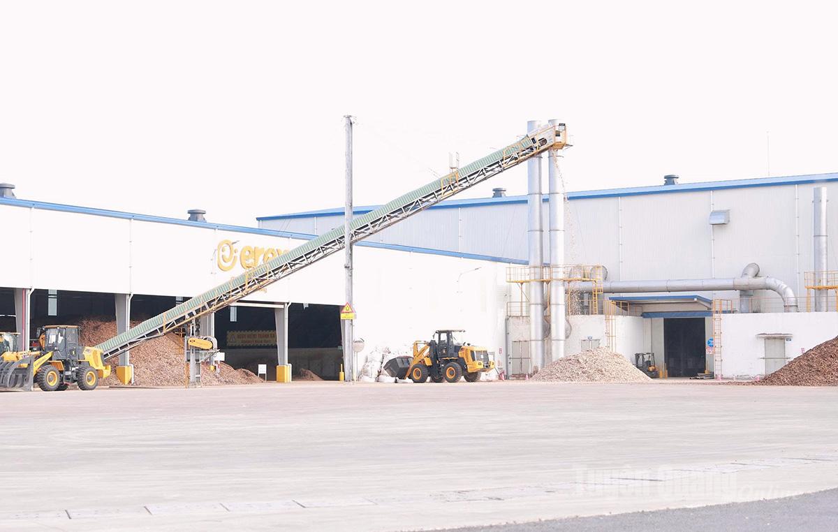 Nhà máy viên nén sinh khối của Công ty EREX Tuyên Quang mới đưa vào vận hành trong năm 2025.