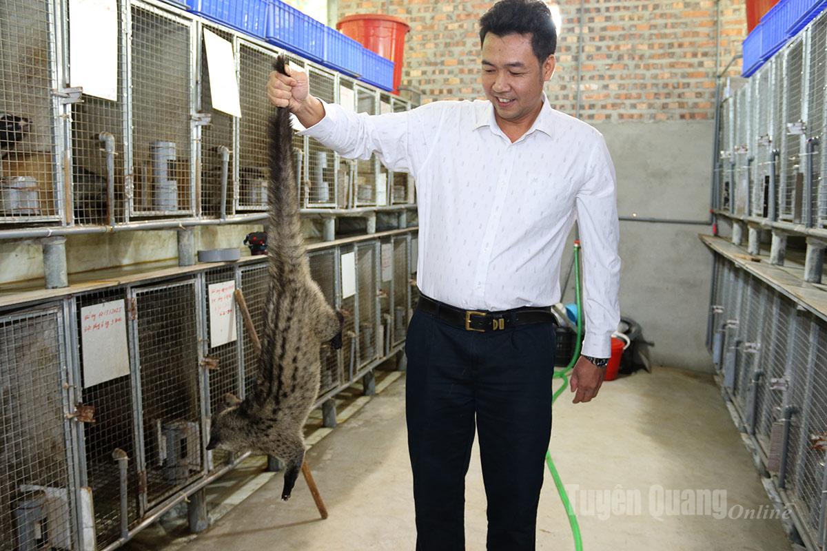 Gia trại nuôi cầy hương của anh Bùi Ngọc Thịnh.
