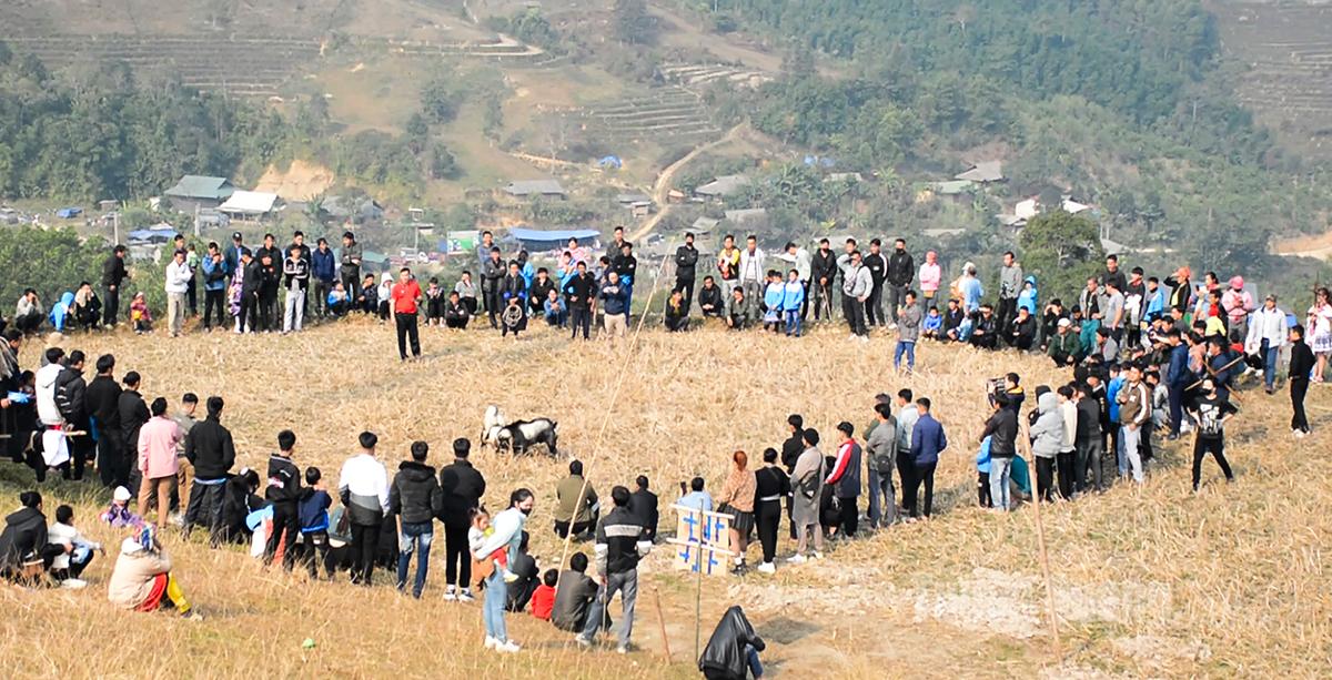 During early spring, the H’mong community often organizes various traditional folk games, including goat fighting, which attracts many locals and visitors.