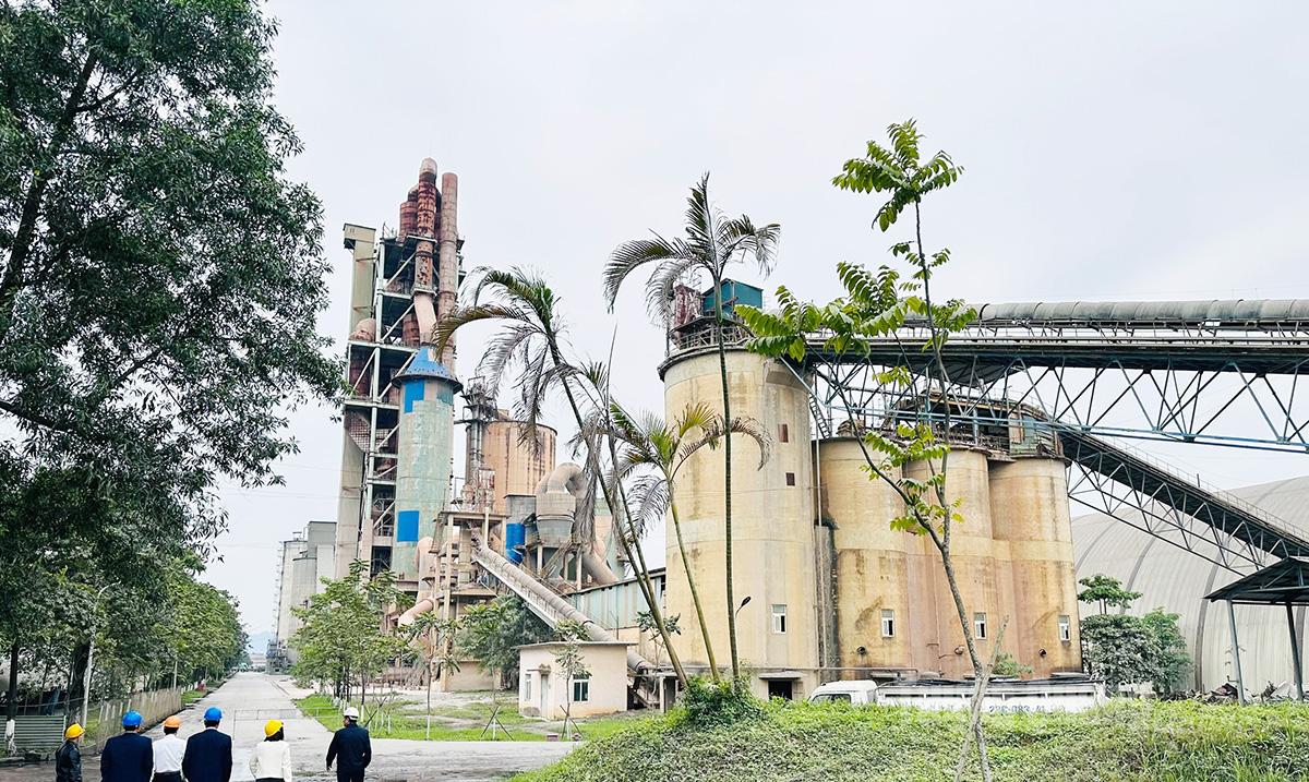 Nhà máy sản xuất xi măng Tâng Quang.