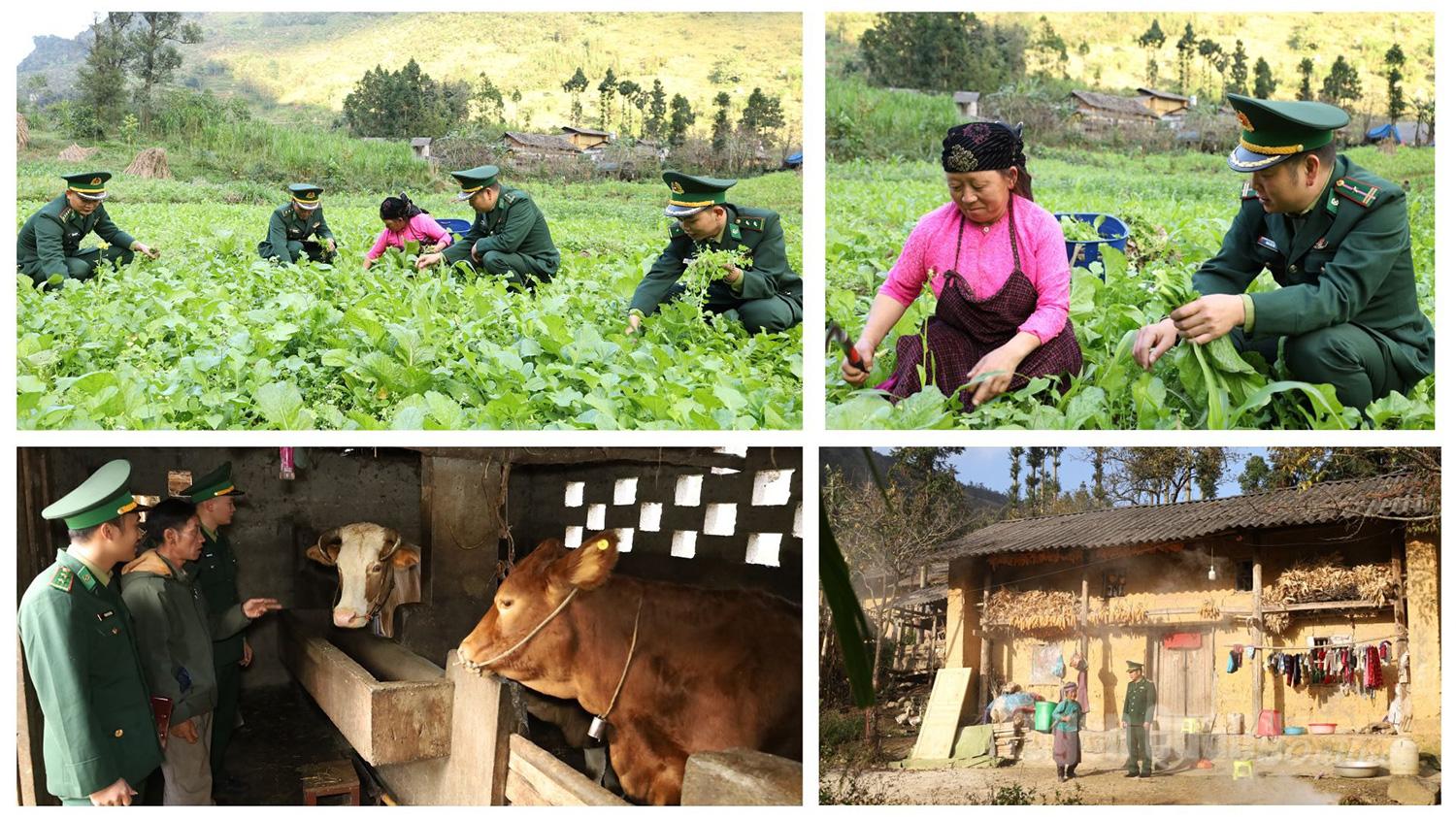 They set an example in discipline and conduct while working in local communities; work with residents to care for crops and livestock; provide guidance on production techniques; and support economic development and cultural life.