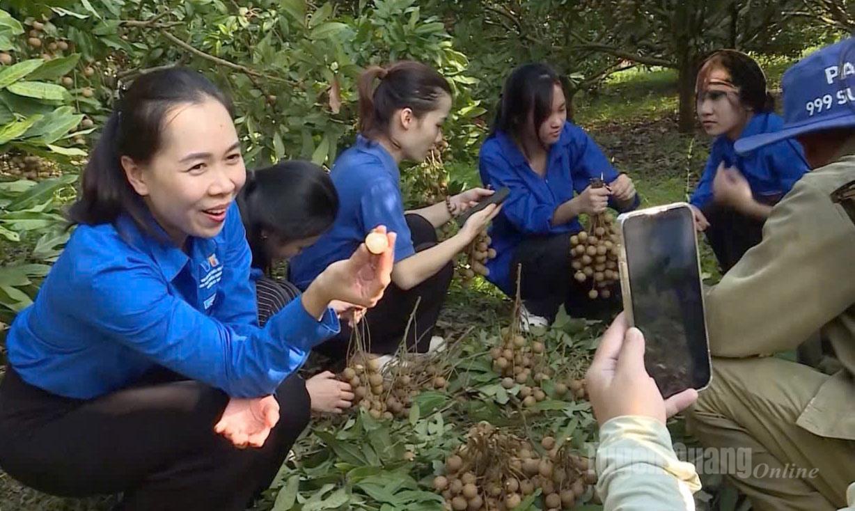 Chị Nguyễn Thanh Vân trong 1 phiên live bán hàng nhãn trên mạng xã hội.