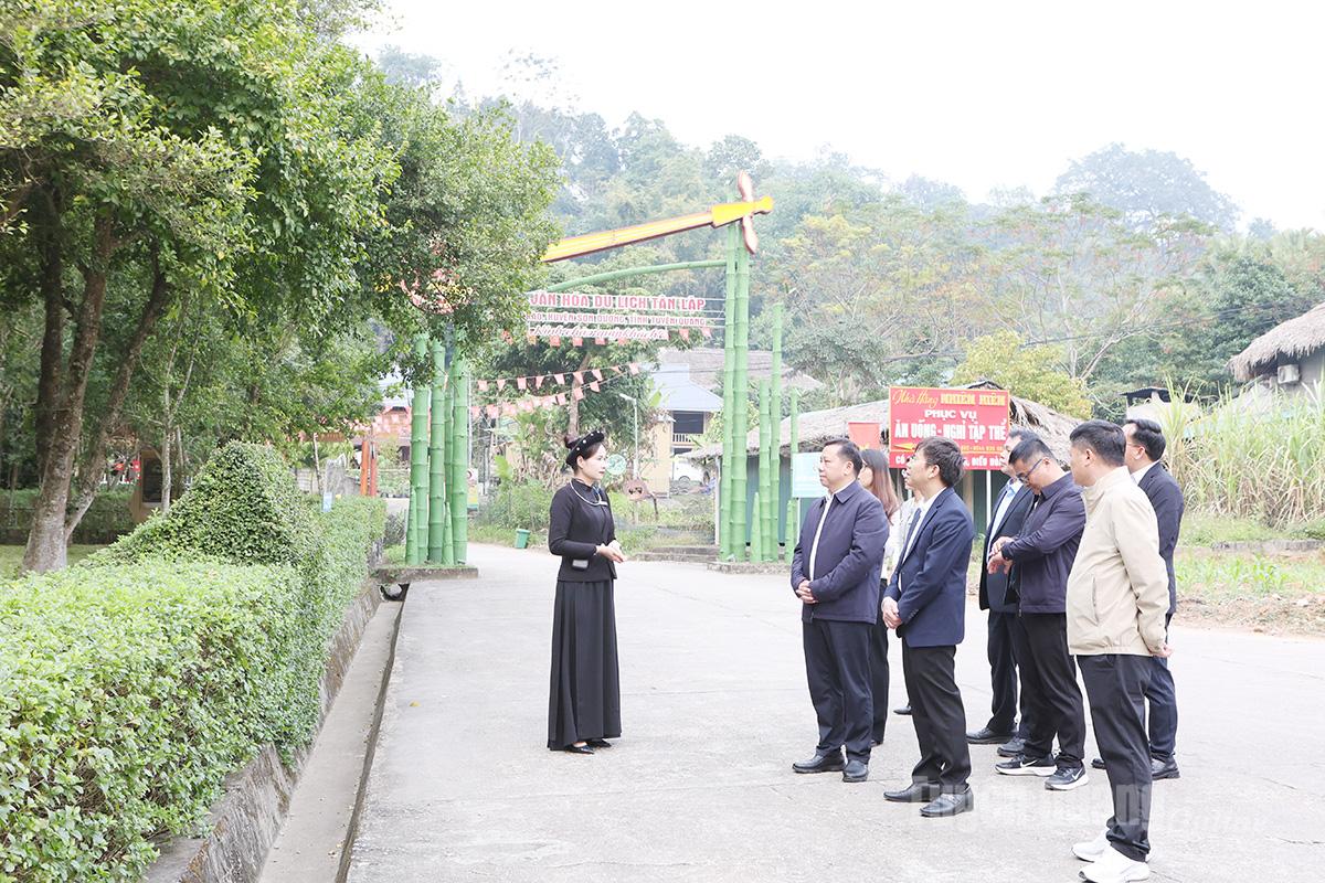 Đại biểu nghe thuyết minh về cây đa Tân Trào.