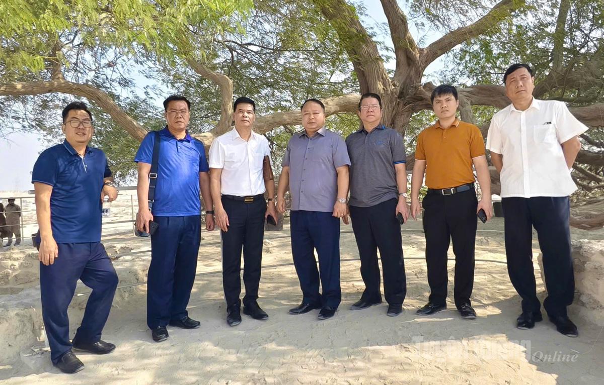 Đoàn tới khảo sát điểm di sản thiêng liêng Cây Sự Sống - một trong những nơi linh thiêng của Bahrain.