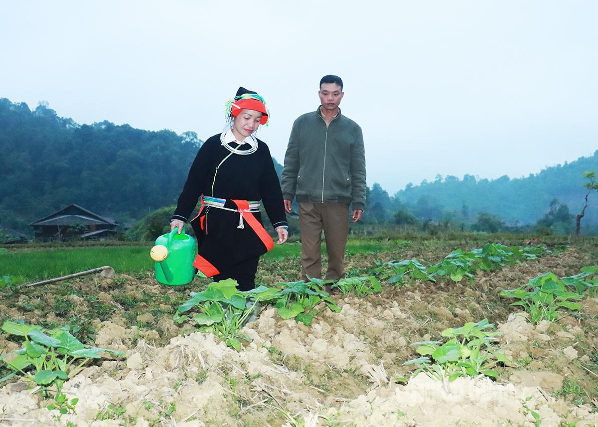 Local people in Phia Dau Hamlet actively plant winter crops.