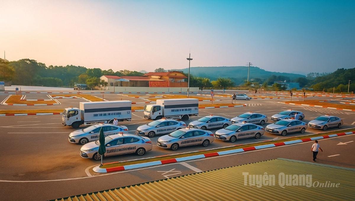 Trường Trung cấp Công nghệ Việt Nhật đã đầu tư xây dựng sân tập lái rộng hơn 2ha.