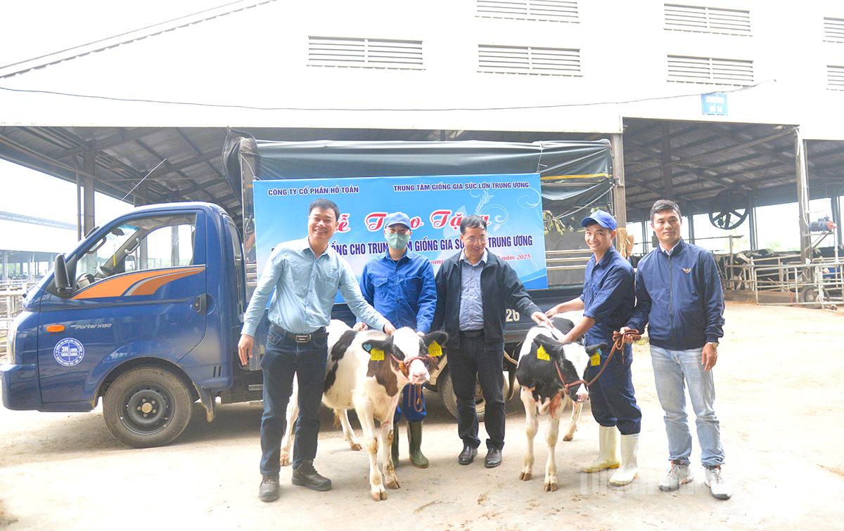 Công ty Cổ phần Hồ Toản trao tặng bò sữa giống cho Trung tâm giống gia súc lớn Trung ương.