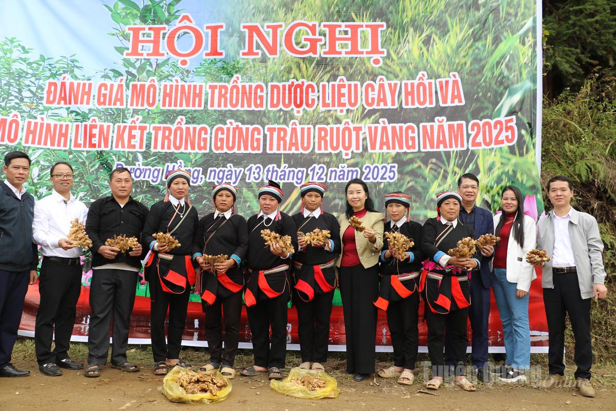 Lãnh đạo Ban Tuyên giáo và Dân vận Tỉnh uỷ, Chi cục trồng trọt và Bảo vệ thực vật tỉnh khảo sát diện tích trồng cây hồi.