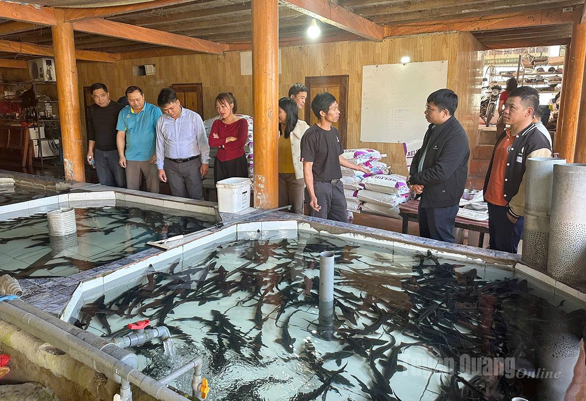 Đoàn công tác xã Hồng Thái tham quan khu nuôi cá tầm tại xã Nậm Dịch.
