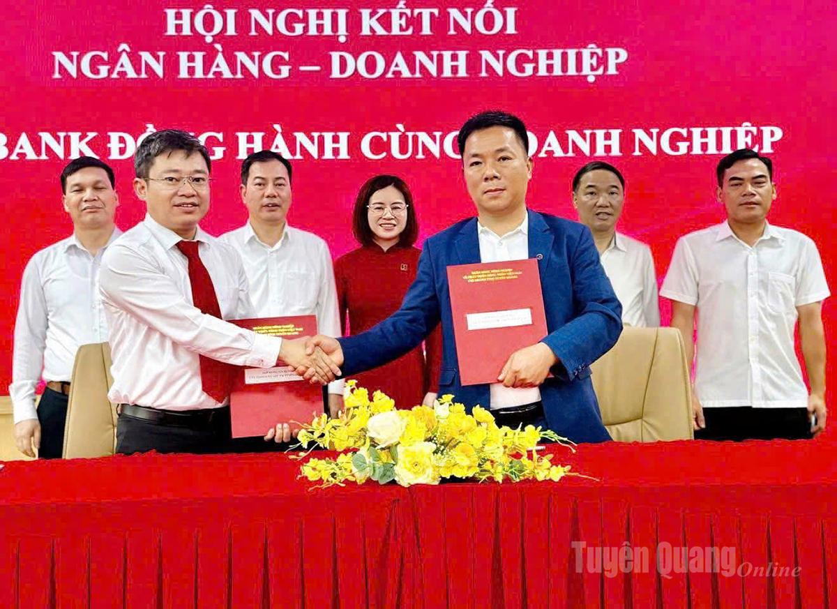 Agribank Chi nhánh Tuyên Quang ký kết hợp đồng tín dụng với doanh nghiệp trên địa bàn, khẳng định vai trò đồng hành, tiếp sức vốn cho sản xuất, kinh doanh và mở rộng đầu tư.
