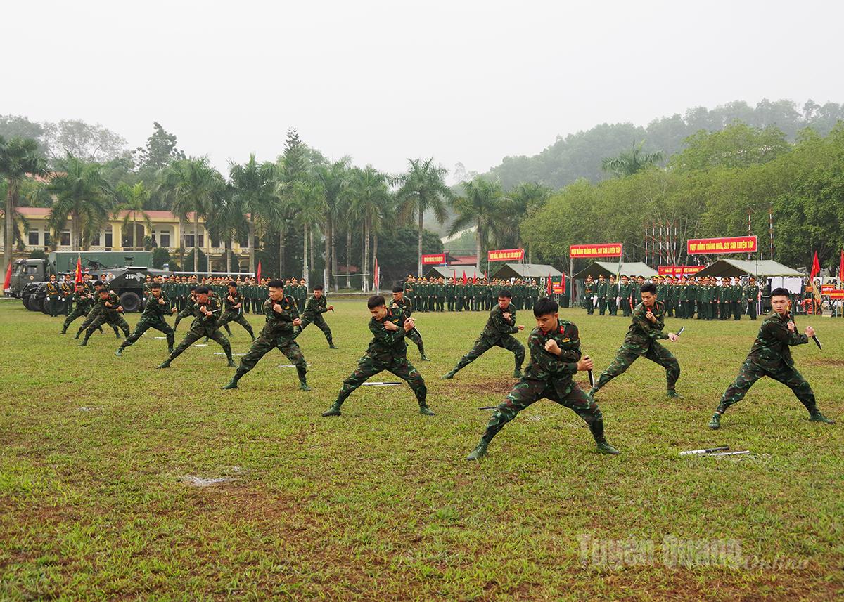 Cán bộ, chiến sĩ Đại đội Trinh sát, cơ giới, Phòng Tham mưu, Bộ CHQS tỉnh biểu diễn võ thuật trong Lễ ra quân huấn luyện 2025.