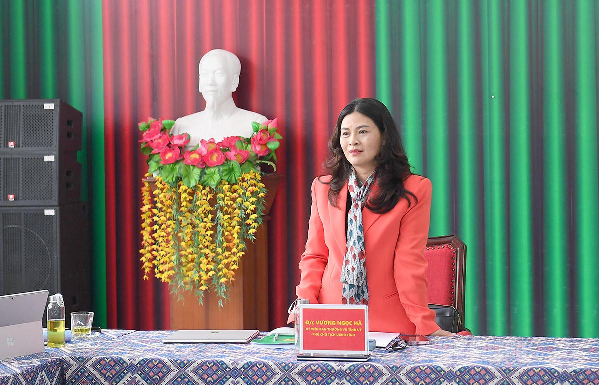 Đồng chí Phó Chủ tịch UBND tỉnh Vương Ngọc Hà phát biểu tại cuộc họp