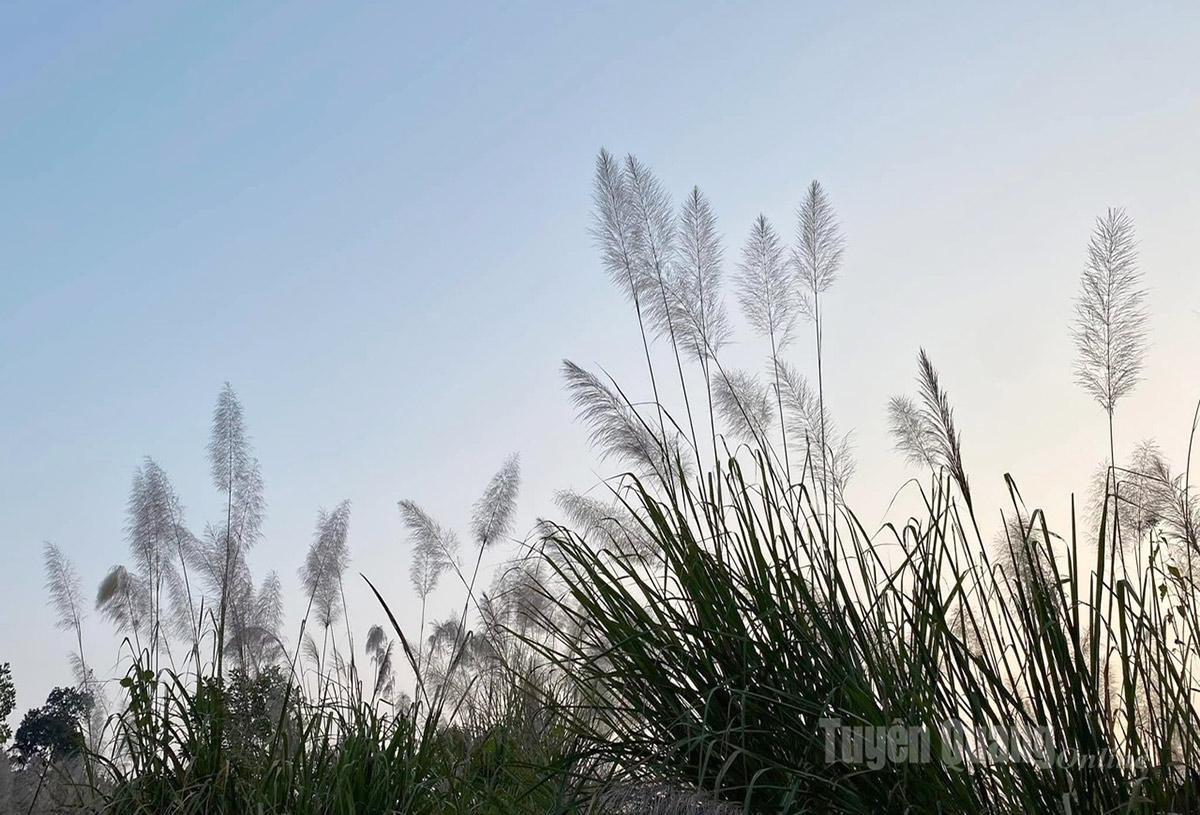 Dáng lau bên nền trời chiều.