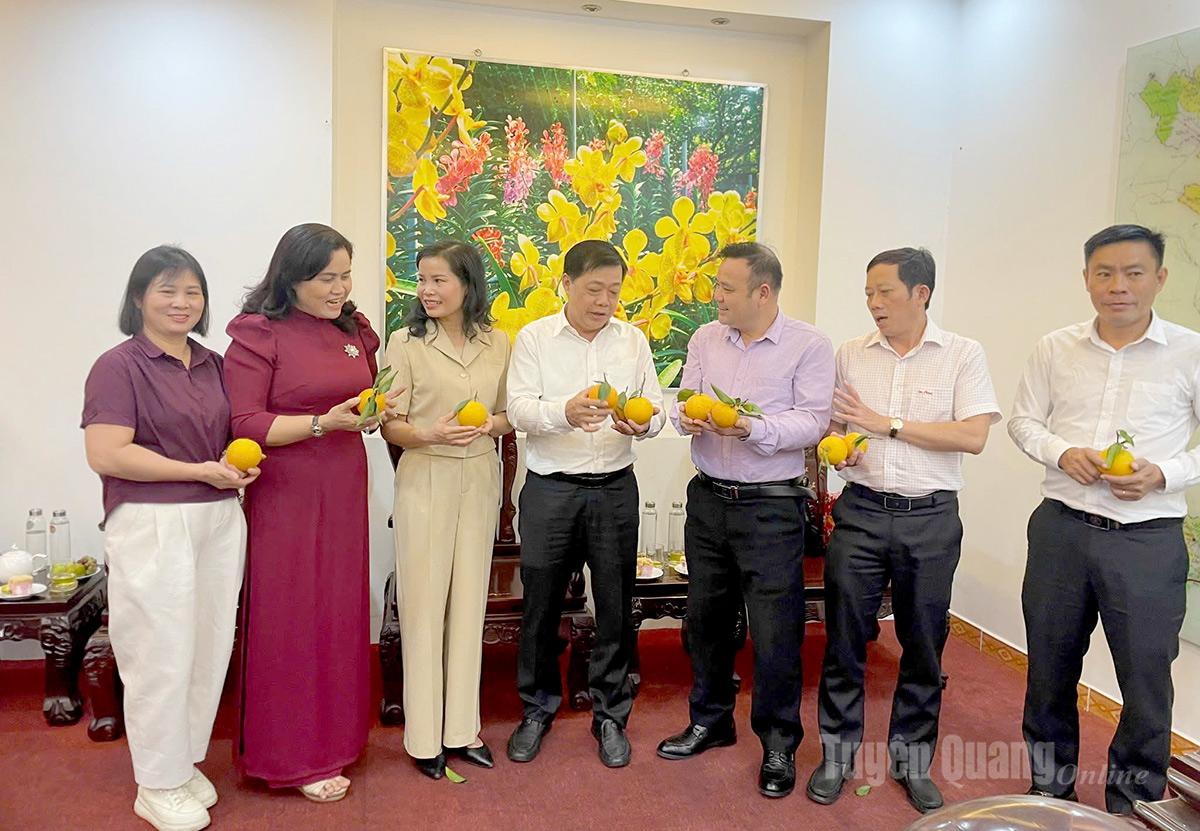 Hội Nông dân tỉnh giới thiệu sản phẩm Ocop của Tuyên Quang tại buổi làm việc.