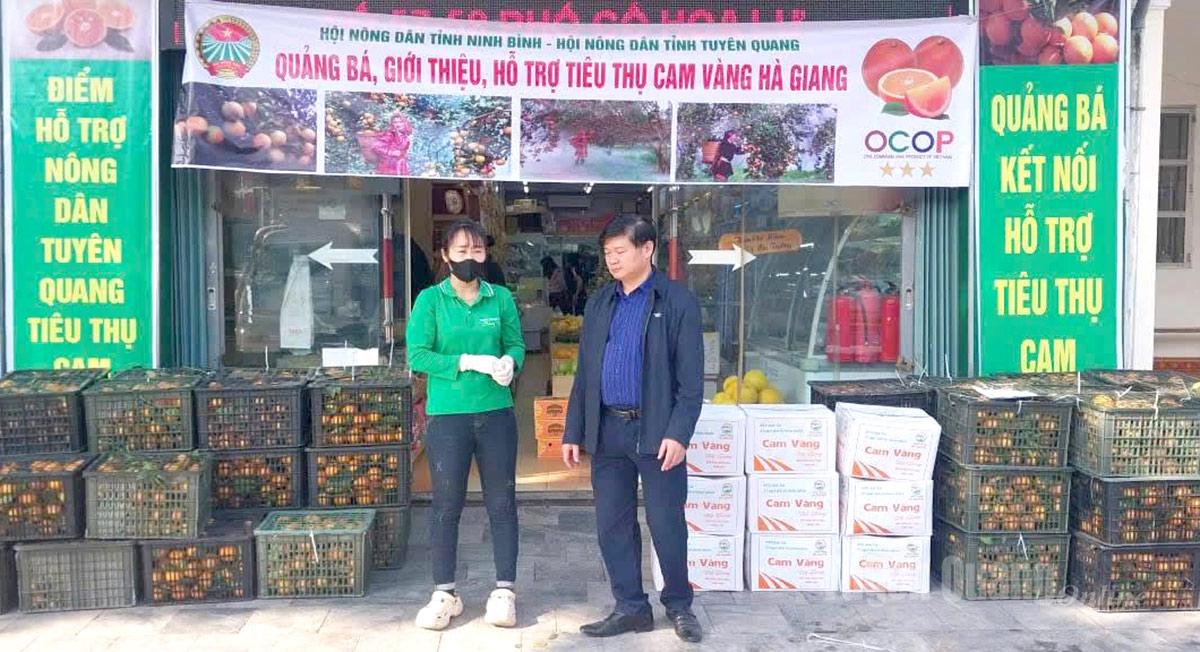 Cam Vàng Hà Giang được Hội Nông dân tỉnh Ninh Bình hỗ trợ tiêu thụ.