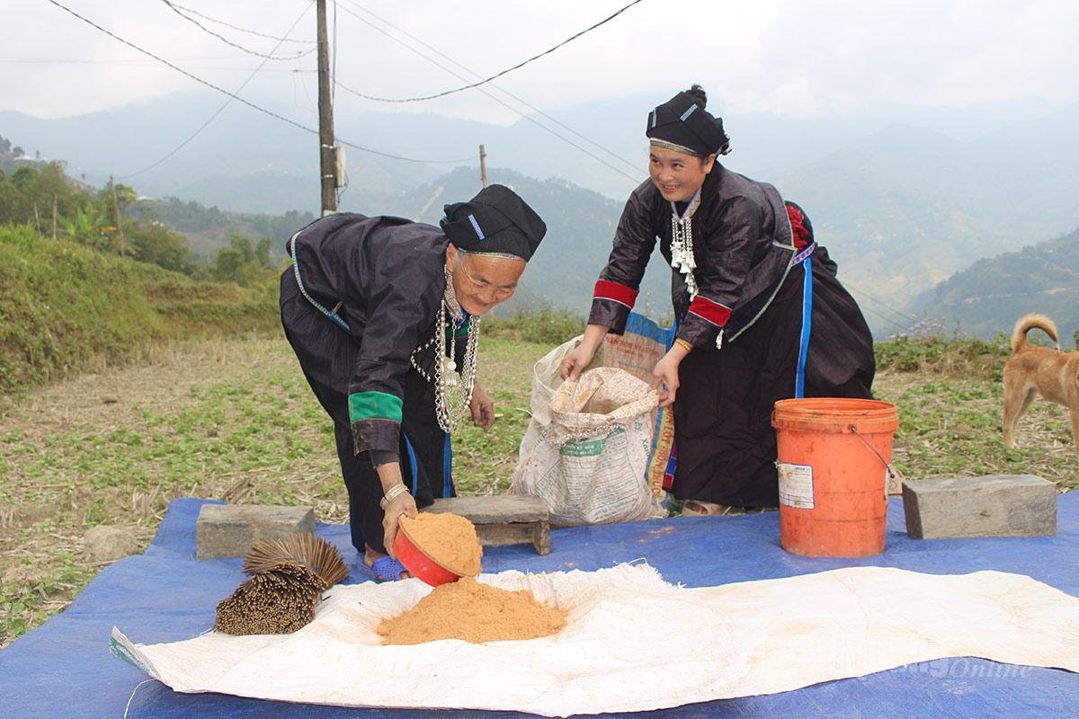 According to Sin Thị Seo, a long-time incense maker in Coc Mui Ha Hamlet, Thang Tin Commune, all materials used by the Nung people come entirely from nature, including mai bamboo, kapok tree bark, sawdust, and ‘ba hat’ leaves.