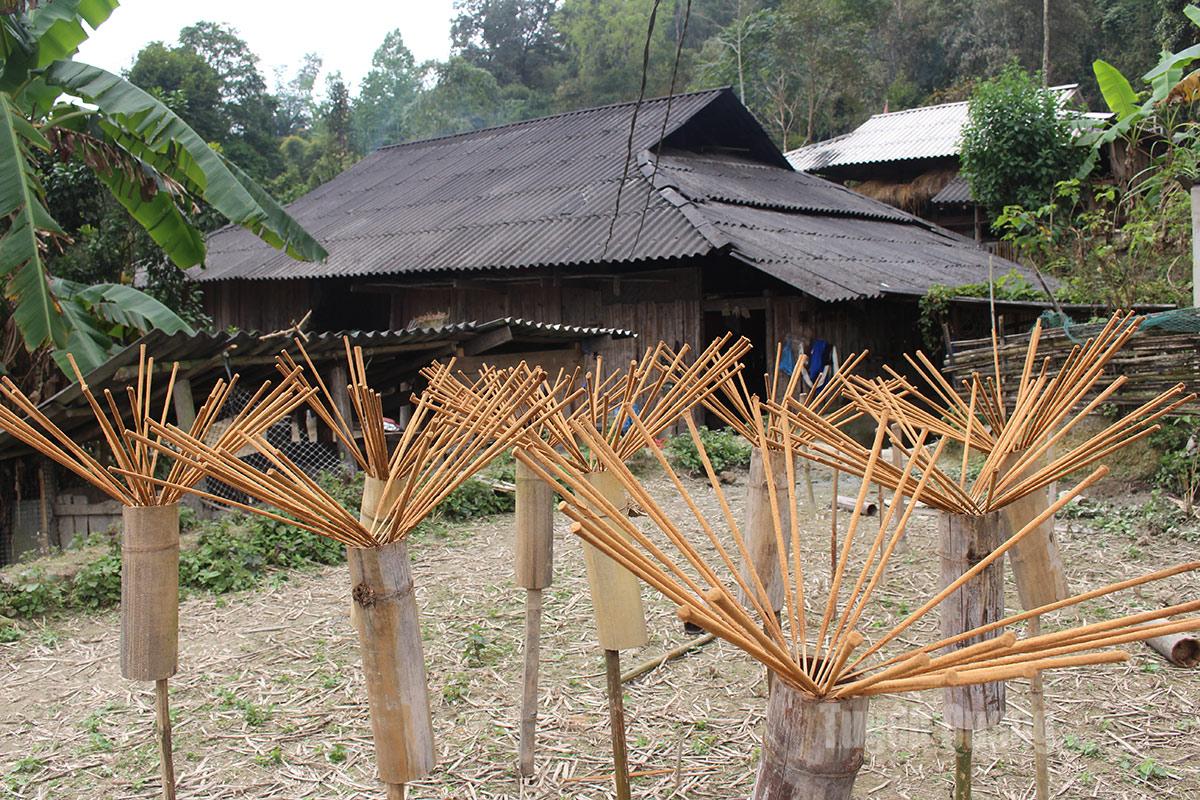 Lighting incense on ancestral altars is an indispensable cultural practice of Vietnamese people. This is also the reason why the Nung people in Thang Tin remain deeply attached to the incense-making craft, cherishing and valuing each fragrant stick day after day.