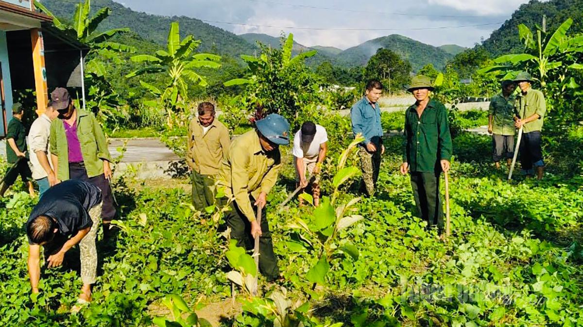 Hội viên Hội CCB xã Vị Xuyên tham gia cải tạo vườn tạp, ứng dụng kỹ thuật mới vào sản xuất.
