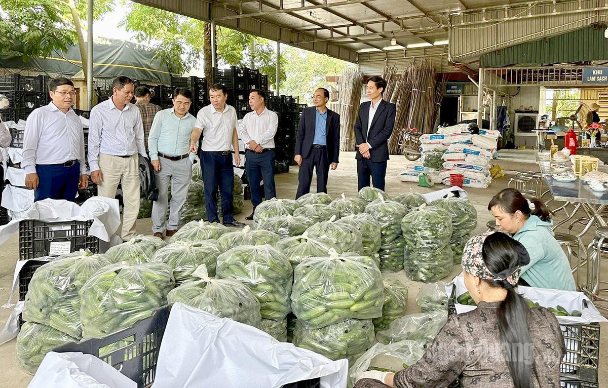 Đoàn công tác xã Hòa An tham quan, học tập kinh nghiệm các mô hình phát triển kinh tế tiêu biểu tại thành phố Hà Nội.

	
Thông tin về ảnh:
Tác giả: Lý Thị Thu
Đơn vị: P.Phóng viên
Thể loại: Ảnh
Bậc: 3
Nhuận bút: 140,000
Người Biên tập: Nguyễn Thị Hoài Yên
Thời gian Biên tập: 21/12/2025-16:37:53
Thuộc chuyên mục: Kinh tế

