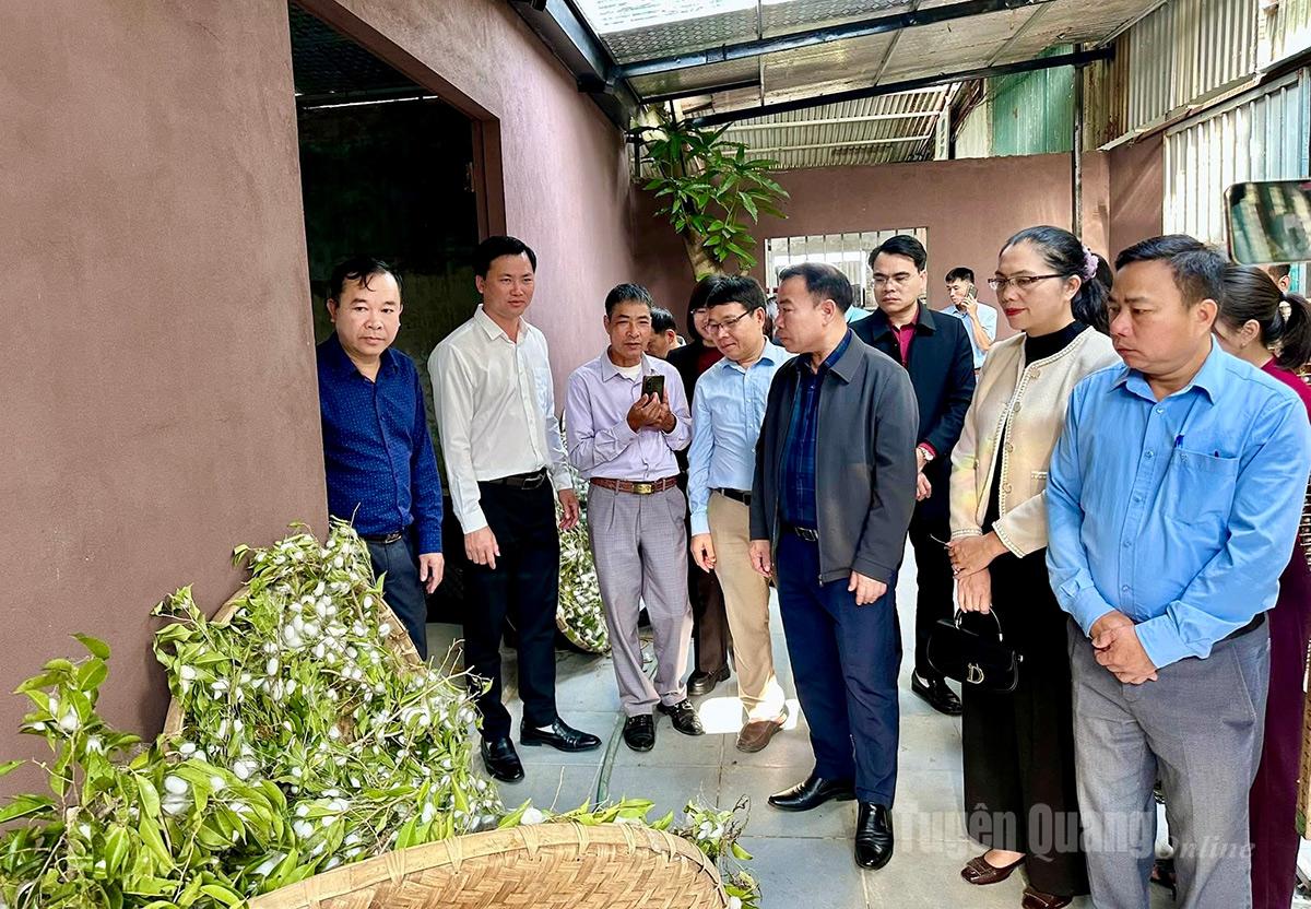 Đại biểu tham quan mô hình nuôi tằm và nuôi cấy nấm đông trùng hạ thảo tại Phú Thọ.