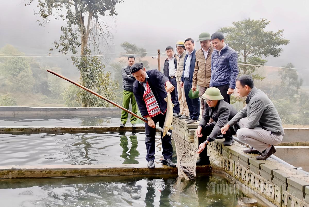 Ông Triệu Chàn Loàng (người cầm cá) là người đầu tiên ở Nậm An nuôi cá nước lạnh, mang lại hiệu quả kinh tế cao.