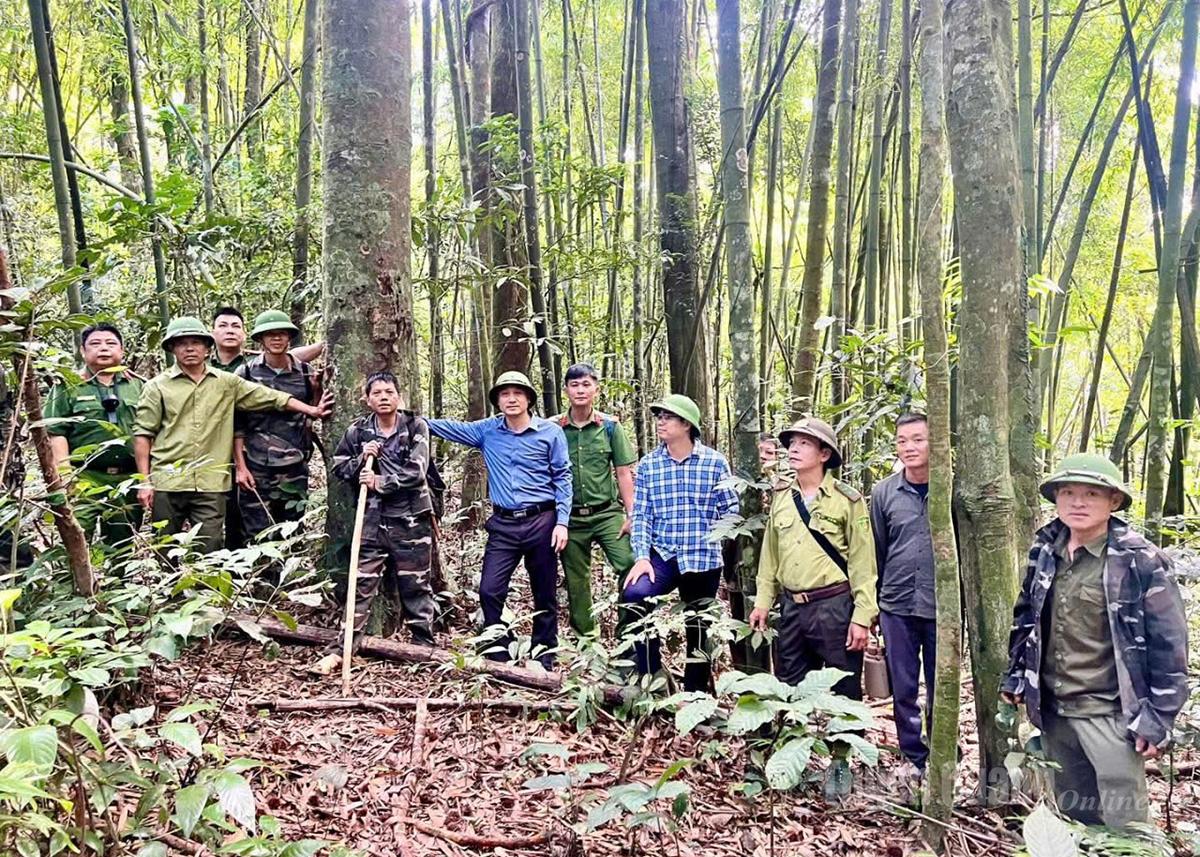 Hạt Kiểm l&acirc;m khu vực IV tỉnh Tuy&ecirc;n Quang v&agrave; c&aacute;c lực lượng chức năng t&iacute;ch cực đồng h&agrave;nh với người d&acirc;n bảo vệ
