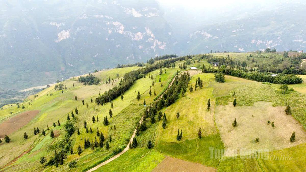 Suoi Thau Grassland is considered as “mini Switzerland” of Tuyen Quang.