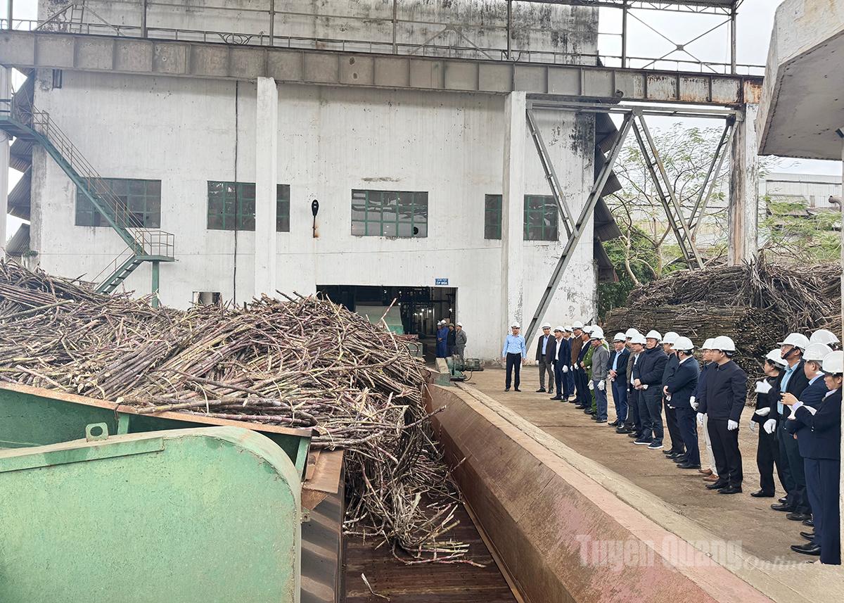 Những khối mía đầu tiên được đưa vào dây chuyền ép.
